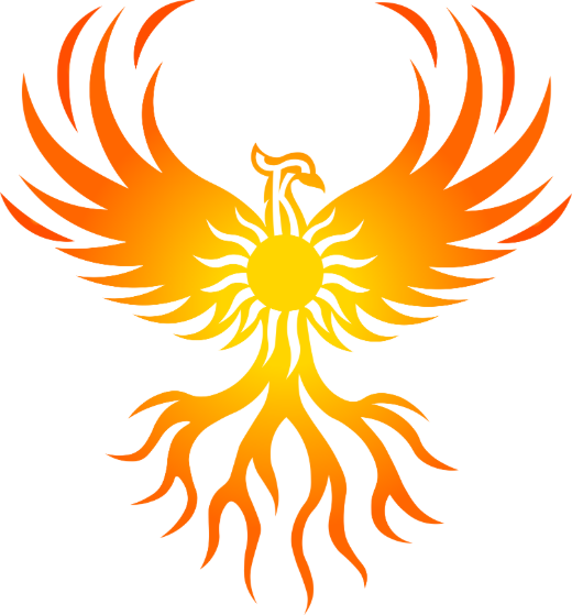Phoenix Solutions